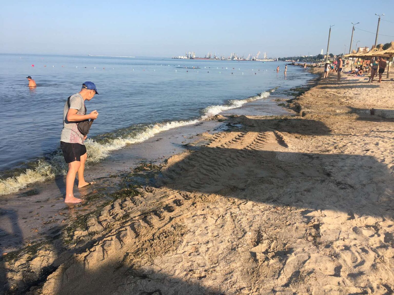 В курортном Бердянске пляжи завалило тоннами водорослей: к расчистке привлекли бульдозеры (фото)