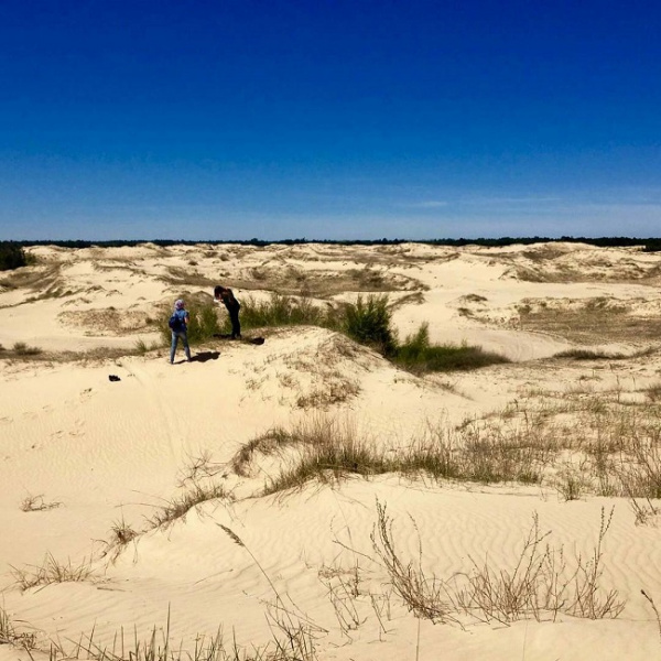 Де відпочити в Україні у листопаді: топ-5 ідей для осінньої подорожі