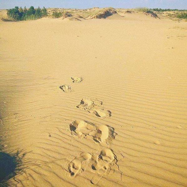 Де відпочити в Україні у листопаді: топ-5 ідей для осінньої подорожі