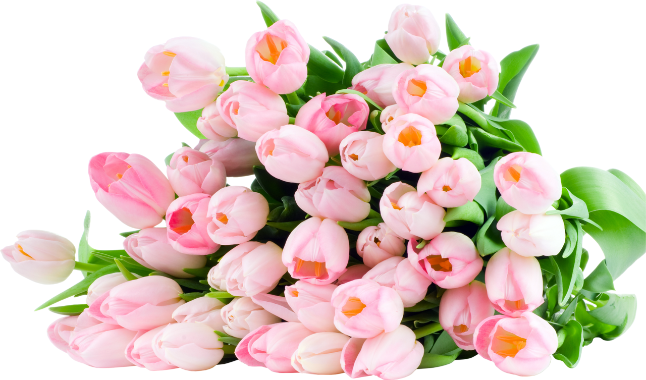 Ціни злетять до небес: у скільки українцям обійдеться 8 березня