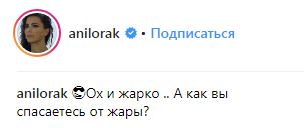 "Жарко": Ани Лорак сразила наповал откровенным нарядом (фото)