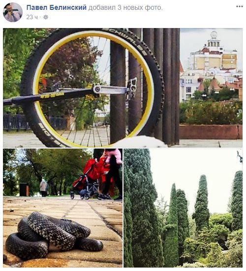 "Гади атакують!": У Києві зафіксували небезпечну рептилію