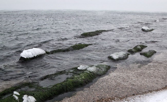 Одесситы показали замерзшее на Рождество море