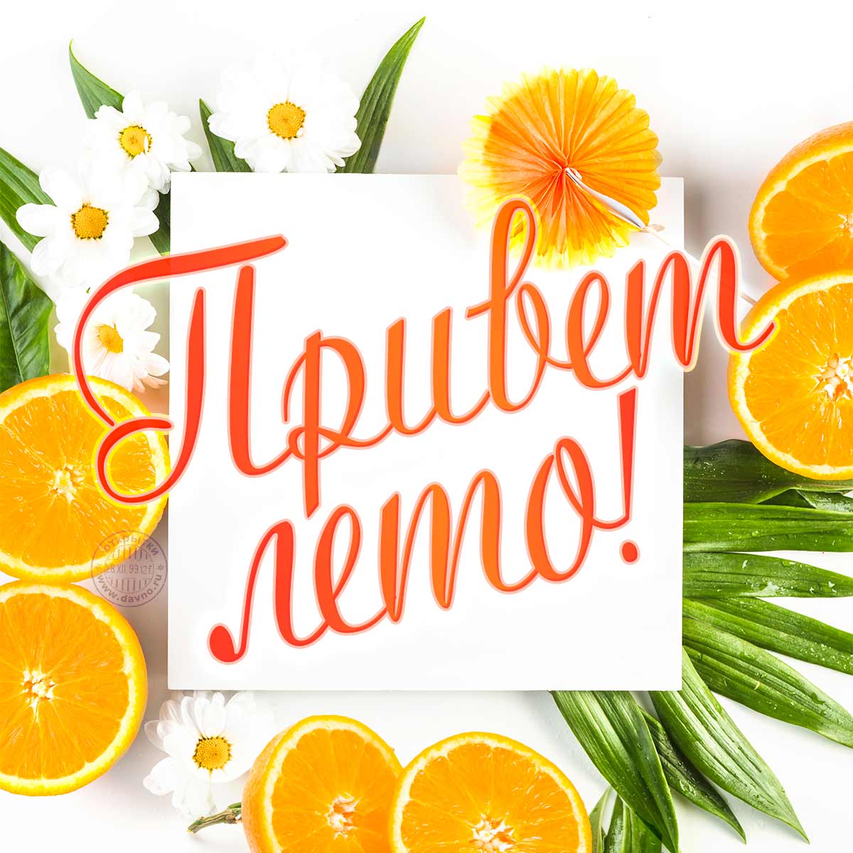 Первый день лета: прикольные открытки и поздравления