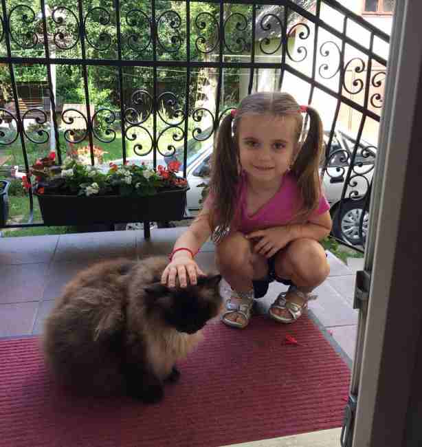 "Столько эмоций!" Лилия Ребрик показала милые фото дочери