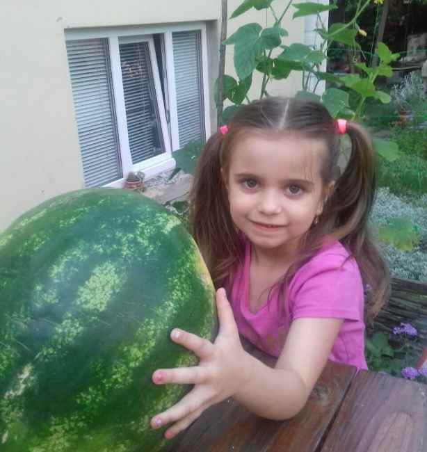 "Столько эмоций!" Лилия Ребрик показала милые фото дочери