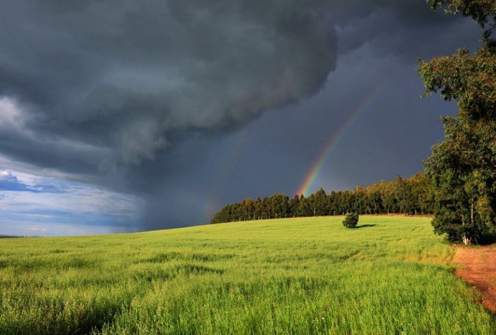 &quot;Ослаблення спеки&quot;: синоптик розповіла українцям про погоду на вихідні