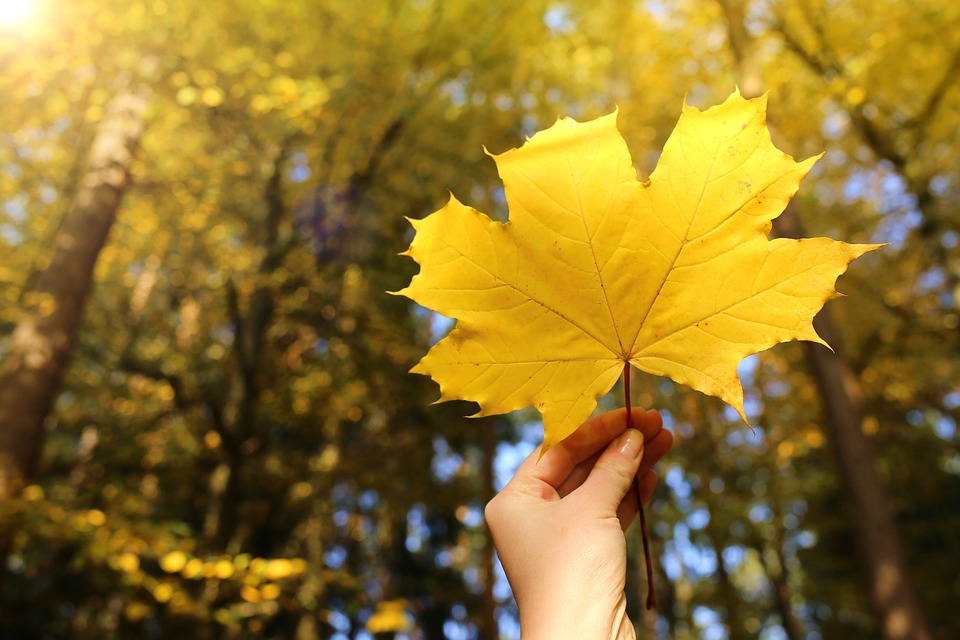 Жара до 25 градусов: синоптики уточнили прогноз погоды на вторник