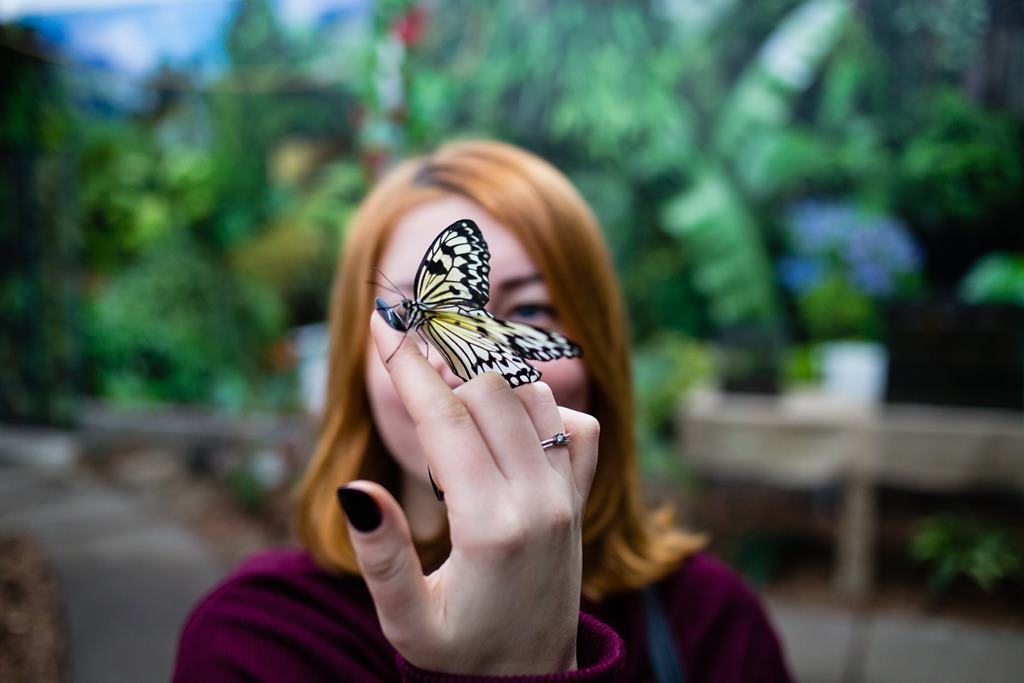 Літо прямує до Києва: кращі розваги для всієї сім'ї на ВДНГ