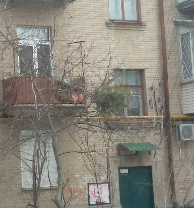 У Мелітополі показали невдалий "майстер-клас" по позбавленню від новорічної ялинки