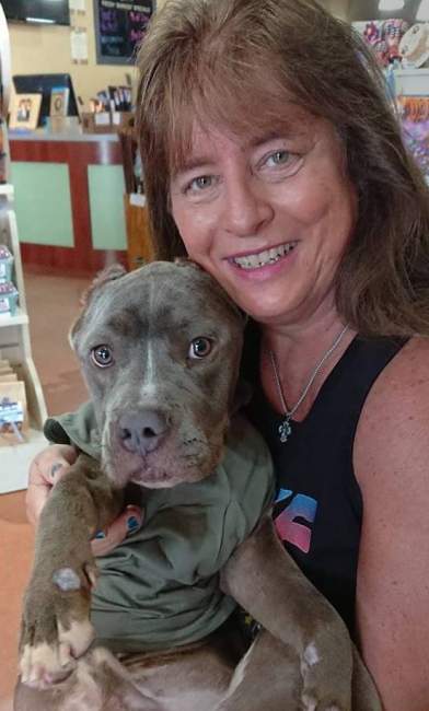 Он увидел изможденного питбуля, умирающего в клетке, и нарушил закон, чтобы спасти животное от смерти