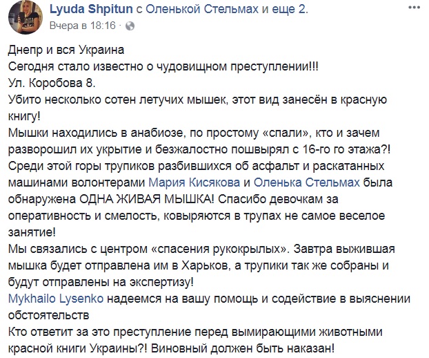 В Днепре выкинули с крыши несколько сотен летучих мышей