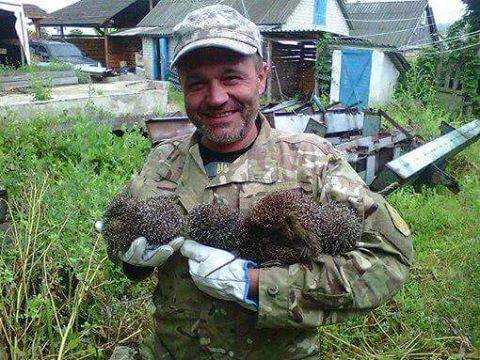 Пушистые патриоты Украины, которые поразили весь мир (фото)