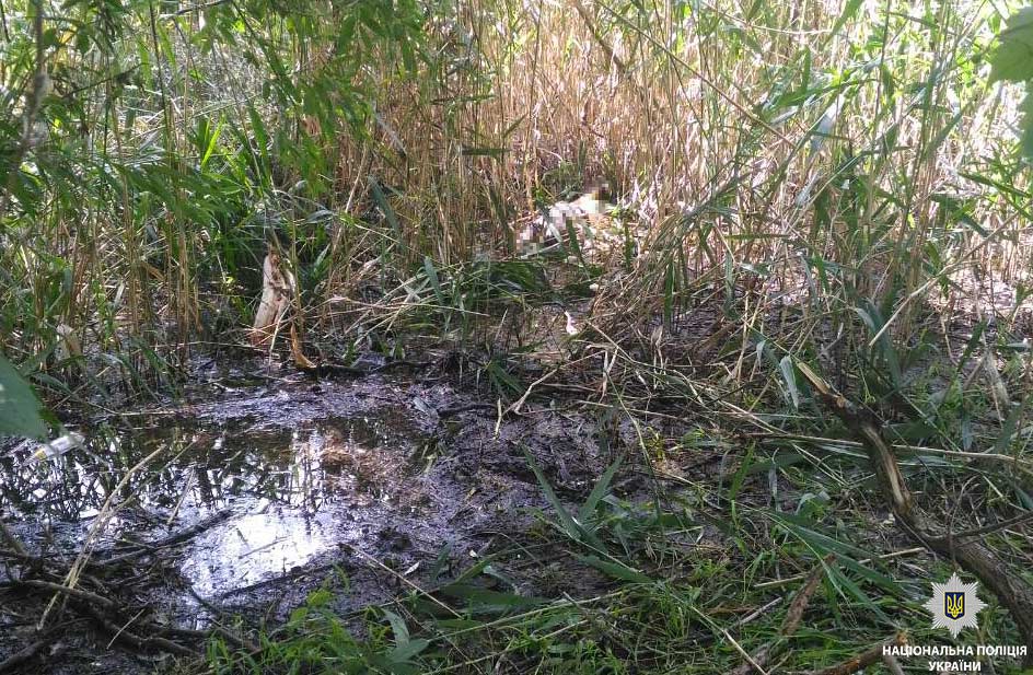 "Там вдень страшно ходити": стали відомі подробиці вбивства 13-річної дівчинки в Нікополі