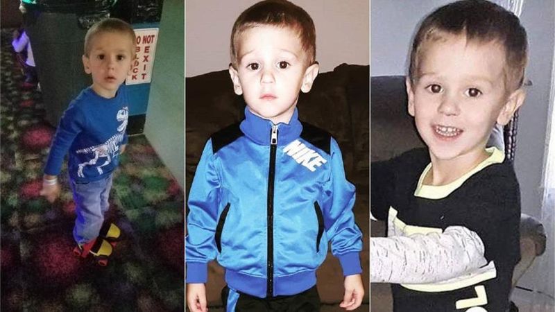 Бог послав йому друга: ведмідь врятував трирічну дитину в лісі (фото)