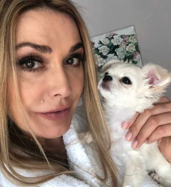 Четвероногие друзья украинских селебретис: топ-10 звездных песиков