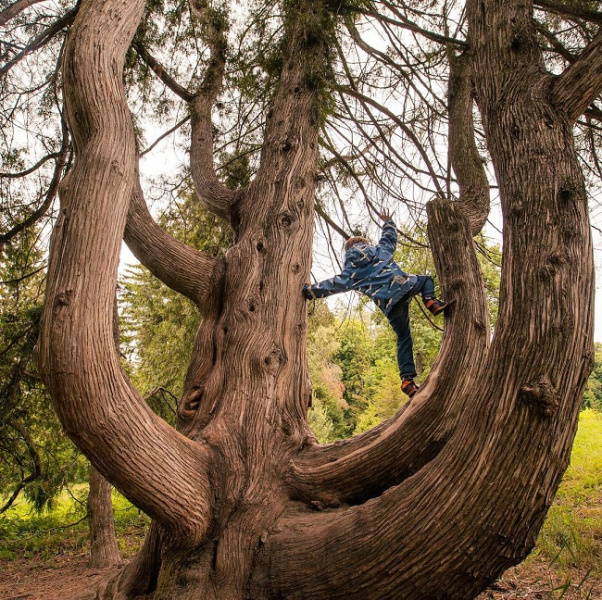 Де відпочити в Україні у листопаді: топ-5 ідей для осінньої подорожі