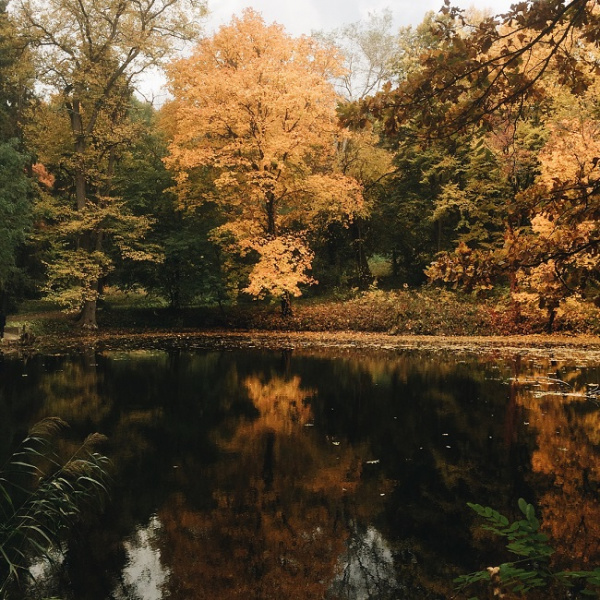 Де відпочити в Україні у листопаді: топ-5 ідей для осінньої подорожі
