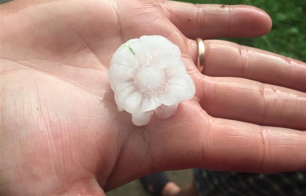 град в виде цветов