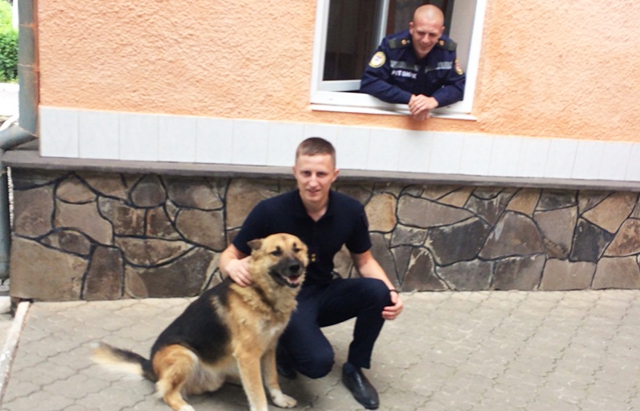 Зарплата сосисками: на Закарпатье со спасателями работает пес-пожарный (фото)