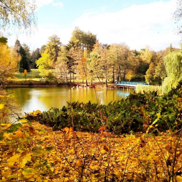 Де відпочити в Україні у листопаді: топ-5 ідей для осінньої подорожі