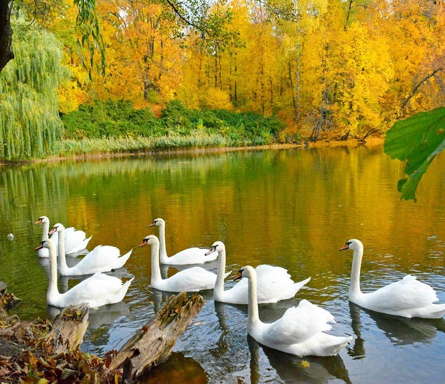 Де відпочити в Україні у листопаді: топ-5 ідей для осінньої подорожі