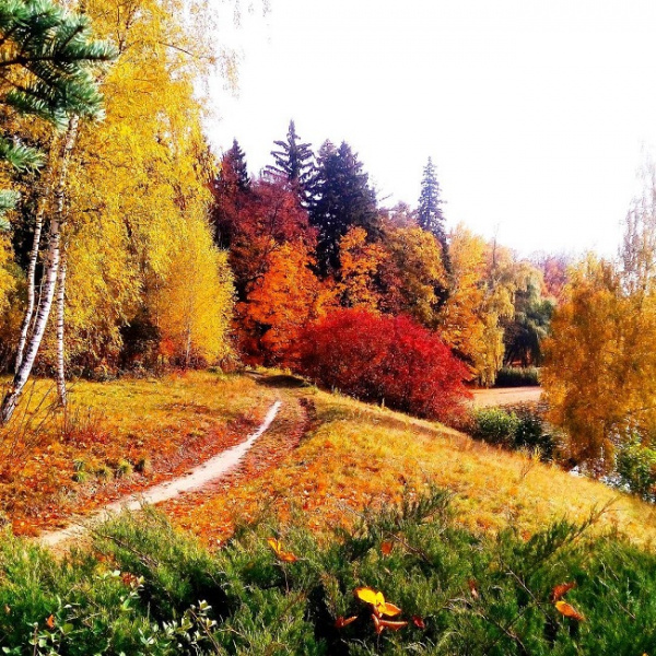 Де відпочити в Україні у листопаді: топ-5 ідей для осінньої подорожі