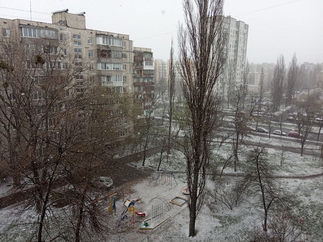 Киев замело снегом в последний день марта: яркие фото и видео