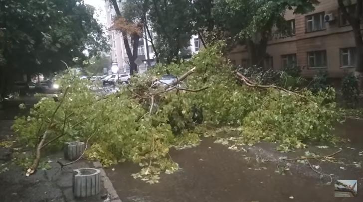 Ливень в Одессе: мощный дождь создал массу неприятностей горожанам