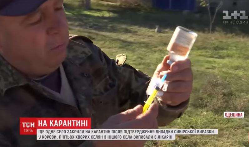 Вспышка сибирской язвы в Одесской области: на карантин закрыли еще одно село