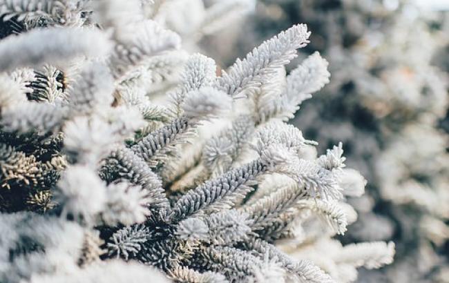 Сугробы до 20 см: снегопады 13 декабря накроют семь областей