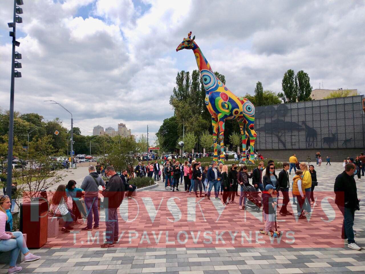 Открытие зоопарка в Киеве вызвало небывалый ажиотаж: толпы людей стояли без масок