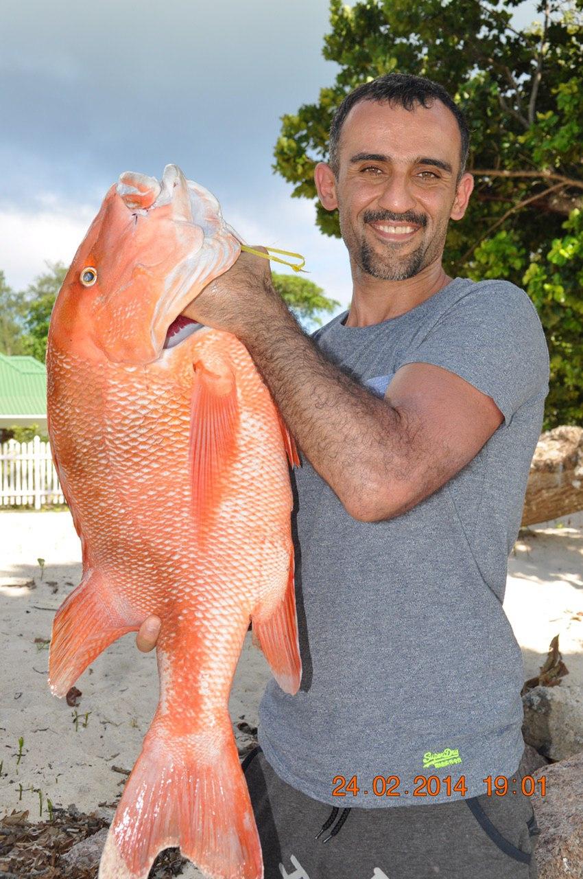 Использует свои связи: скандал со &quot;звездным&quot; дантистом в Киеве получил продолжение