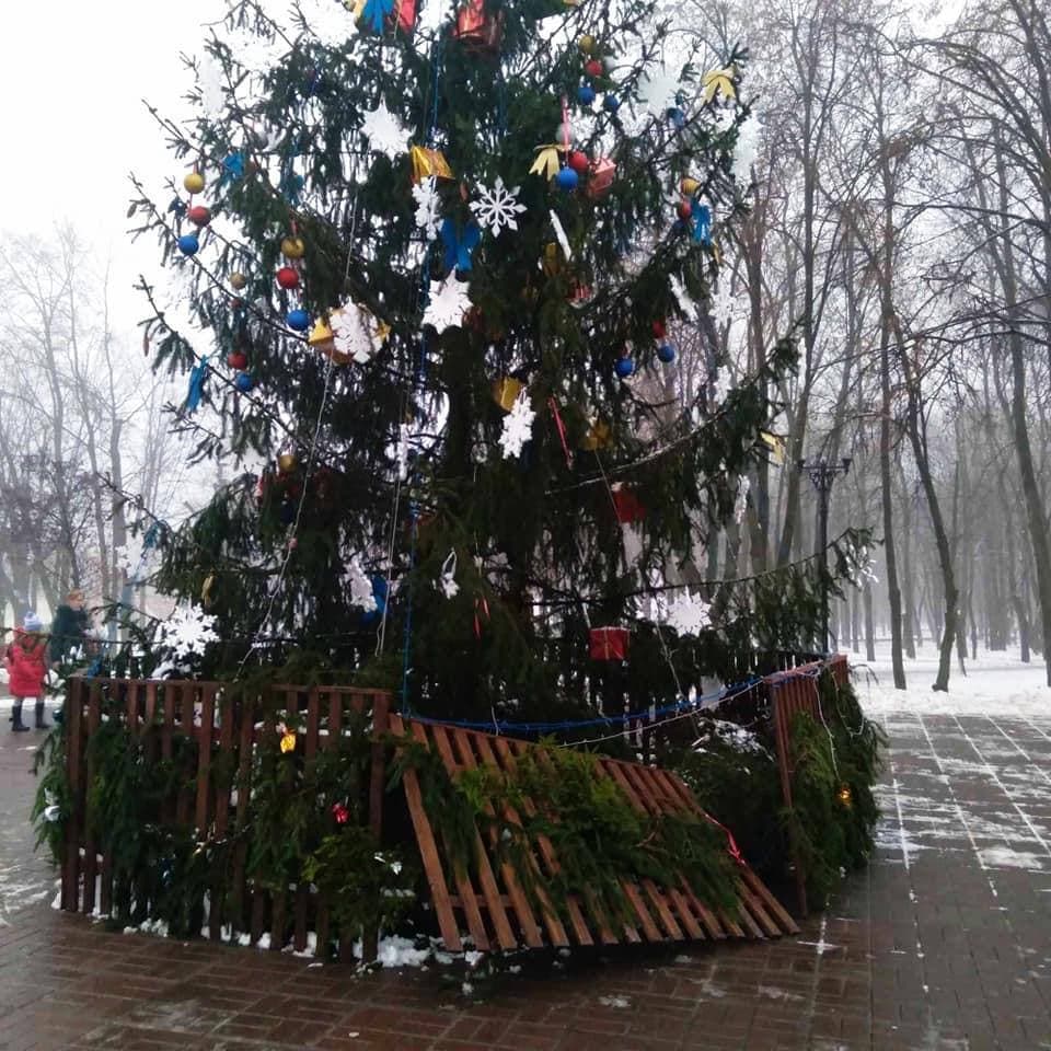 В киевских парках промышляют вандалы, которые разрушают новогодние елки (фото)