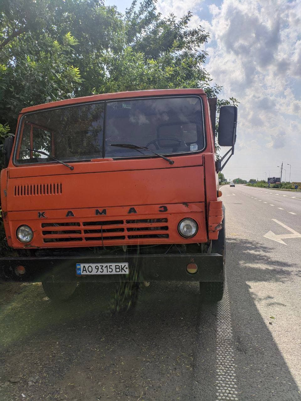 На Закарпатті з вантажівки на дорогу висипалися дохлі кури: фото вражають