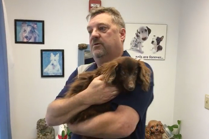 Не могли найти: потерянная собака вернулась домой через пять лет