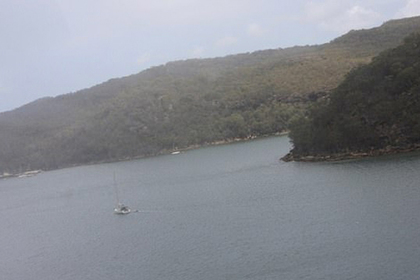 За секунди до: син відомого мільйонера зняв падіння літака перед катастрофою