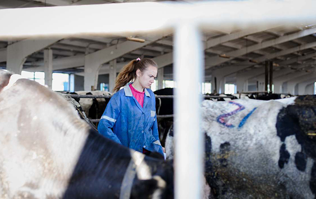 Должны пахать, как лошади: в России для женщин продлят рабочий день