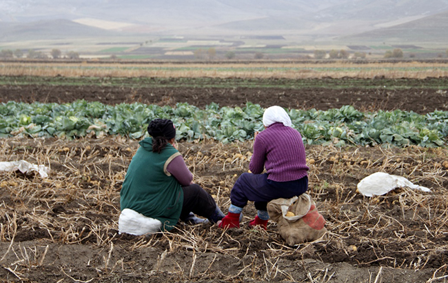 Должны пахать, как лошади: в России для женщин продлят рабочий день
