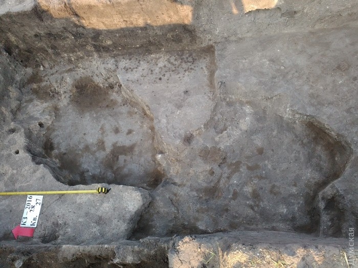 Одесса Каменное раскопки археологи фото