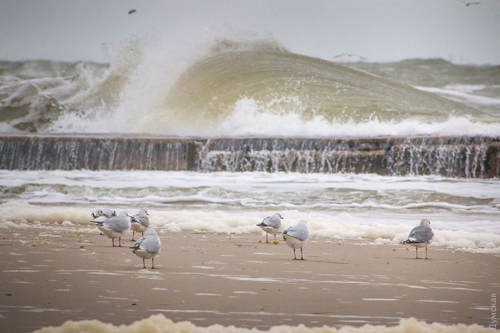 &quot;Бушующая стихия&quot;: в сети показали впечатляющие фото шторма в Одессе