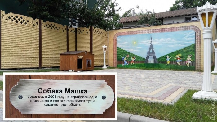 жилье для собаки