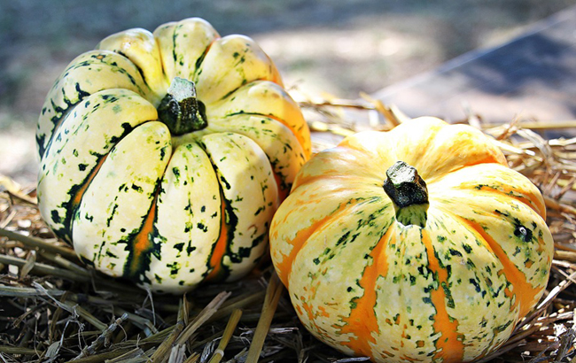 Супрун разрушила миф о здоровом питании