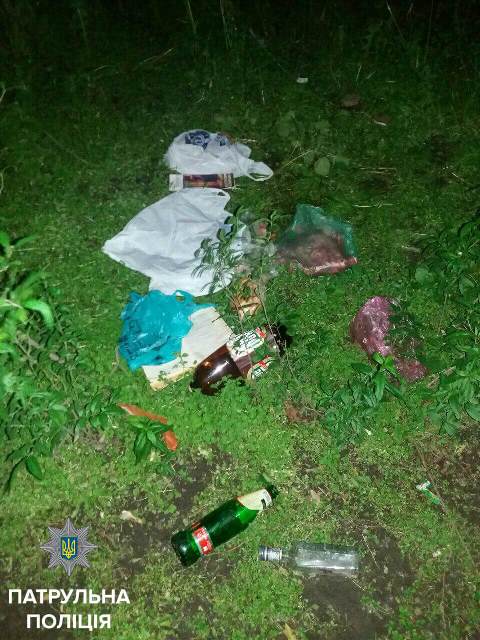 У Києві поліцейські врятували народженого в кущах немовляти