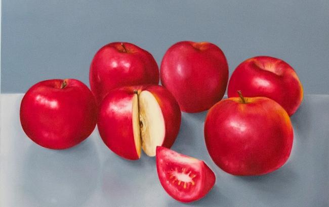 Выставка-лаборатория "Ботаника"