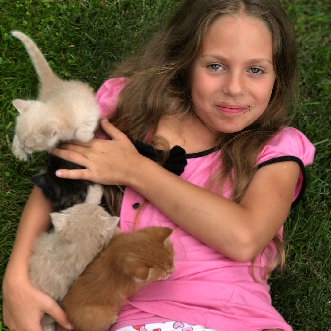 Дочь Поляковой Алиса и котята