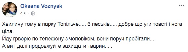 "А ви продовжуйте захищати": у Тернополі на жінку напала зграя собак