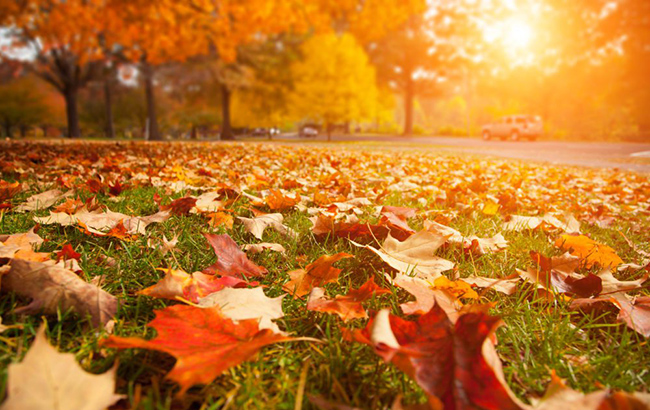 Осенний перевод часов: как адаптироваться к временному сдвигу