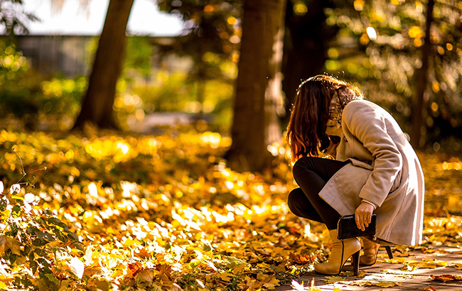 Ясно и без осадков: прогноз погоды на 10 октября