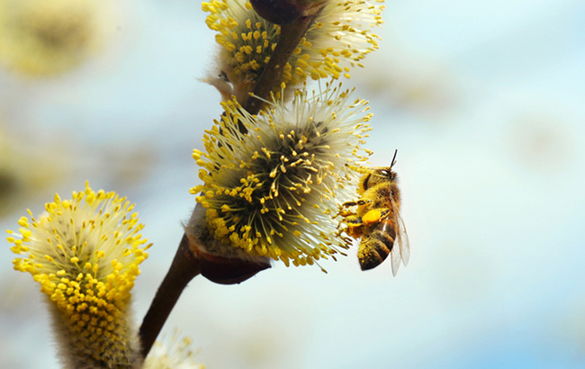 Теплий Олексій: що категорично не можна робити 30 березня